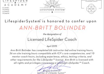 Lic LifeSpider Coach